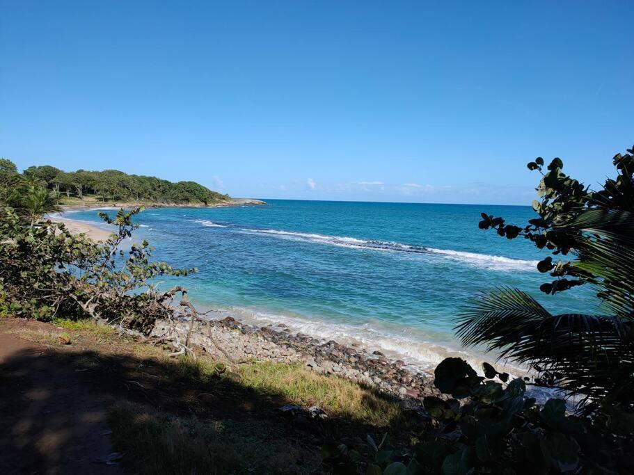 Haut De Villa Avec Vue Sur La Mer Sainte-Rose Eksteriør billede