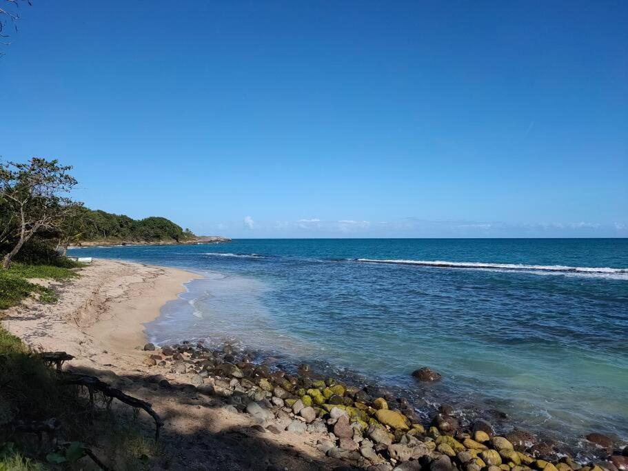 Haut De Villa Avec Vue Sur La Mer Sainte-Rose Eksteriør billede