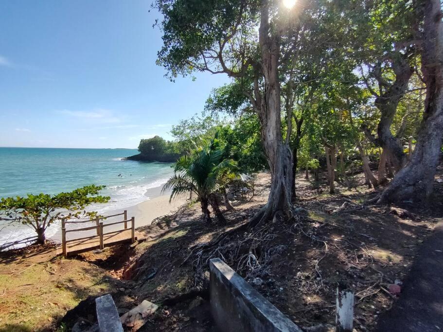 Haut De Villa Avec Vue Sur La Mer Sainte-Rose Eksteriør billede