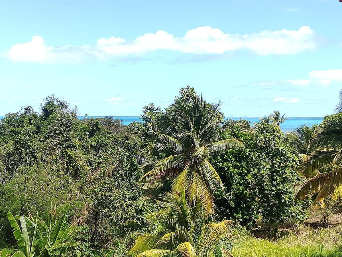 Haut De Villa Avec Vue Sur La Mer Sainte-Rose Eksteriør billede